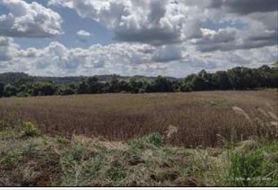 Foto 4 de 8: Area Rural em leilão em Enéas Marques - PR — Imóvel Rural com área de 52,4HA com benfeitorias não reprodutivas. Localizado no Município de Enéas Marques/PR.
