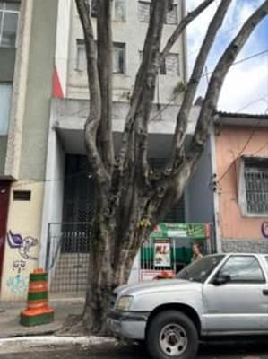 Foto 4 de 7: Comercial em leilão em São Paulo - SP, bairro Bela Vista — PARTE IDEAL (25%) DE LOJA COM ÁREA DE 140,721 M² BELA VISTA SÃO PAULO/SP