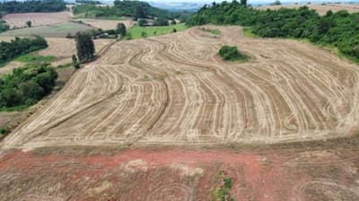 Foto 9 de 10: Area Rural em leilão em Nova Prata Do Iguaçu - PR — IMÓVEL RURAL COM ÁREA DE 121.000 m2- Em NOVA PRATA DO IGUAÇU