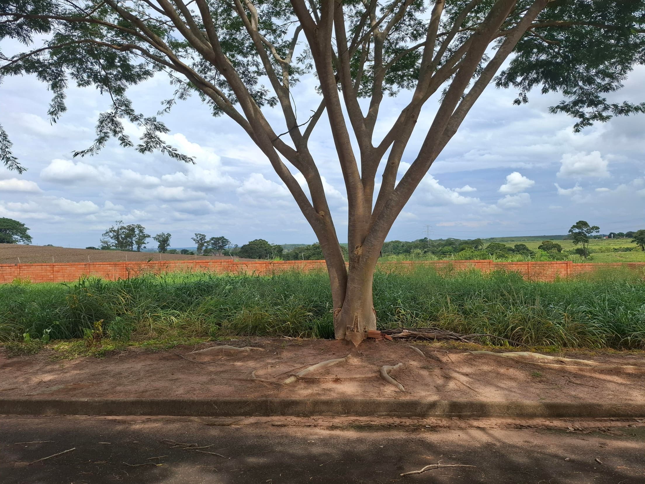 Foto 1 de 5: Terreno em leilão em Mirassol - SP — TERRENO RESIDENCIAL DE 450m² NO SAN DIEGO, MIRASSOL/SP | MATRICULA 33.944