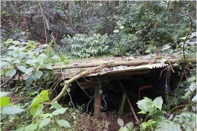 Foto 2 de 10: Area Rural em leilão em Francisco Beltrão - PR — Fração de 33,974% do imóvel rural com área total de 367.800,00m², com benfeitorias. Situado no Município de Enéas Marques/PR.
