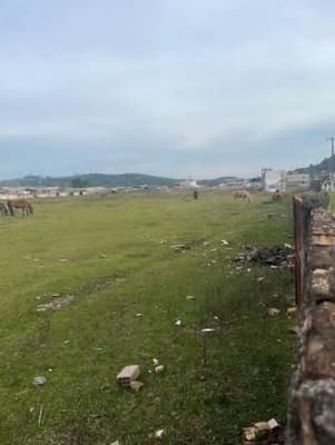 Foto 7 de 11: Terreno em leilão em Lages - SC, bairro Universitário — Terreno, A.T. 7.114m², Cidade das Araucárias, Bairro Universitário, Lages/SC
