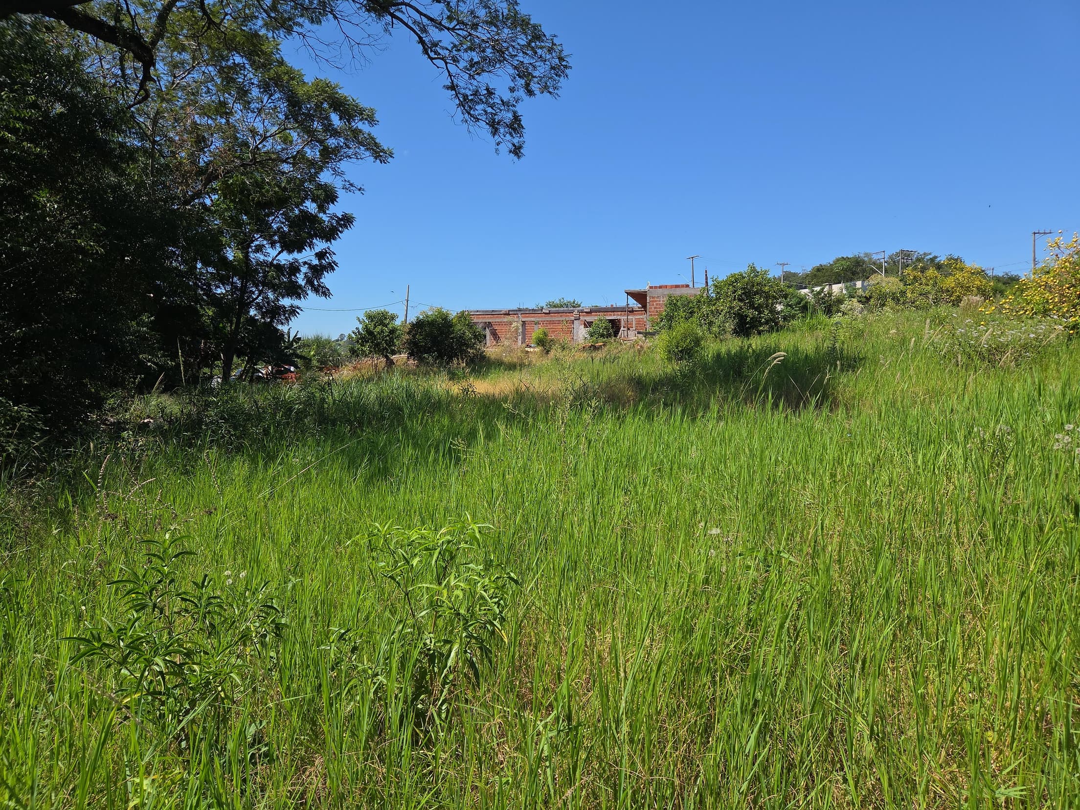 Foto 4 de 6: Terreno em leilão em Nova Prata Do Iguaçu - PR, bairro Distrito Turístico — LOTE URBANO Nº 11, QUADRA Nº 06 DO LOTEAMENTO PAINEIRA DO MUNICÍPIO DE NOVA PRATA DO IGUAÇU/PR ÁREA DE 897,59M²