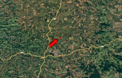 Foto 7 de 24: Area Rural em leilão em Manoel Ribas - PR, bairro Bairro dos Gallos — IMÓVEL RURAL COM ÁREA TOTAL DE 78.163,60 m2- Em MANOEL RIBAS/PR
