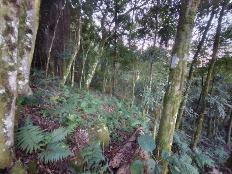 Foto 5 de 8: Terreno em leilão em Porto União - SC — Terreno com aproximadamente 8.259,10m².