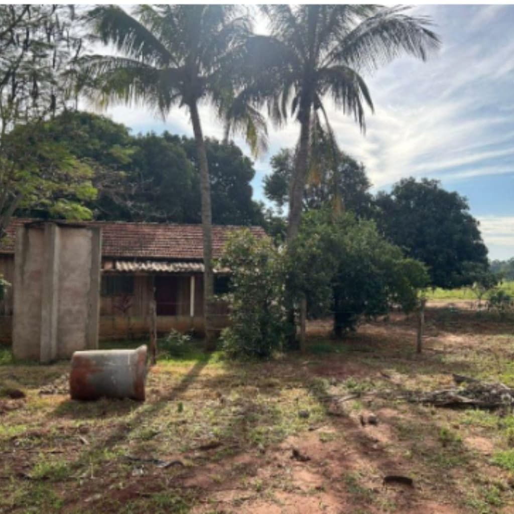 Foto 6 de 6: Area Rural em leilão em Francisco Alves - PR — IMÓVEL RURAL COM ÁREA DE 2.15ha- Em FRANCISCO ALVES/PR