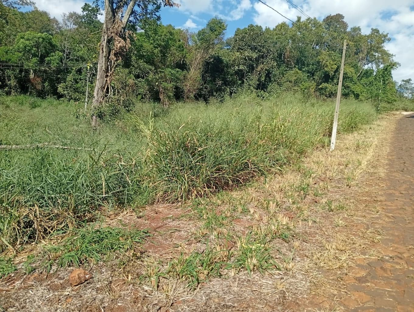Foto 1 de 7: Terreno em leilão em Nova Prata Do Iguaçu - PR, bairro Distrito Turístico — LOTE URBANO Nº 10, QUADRA Nº 15 DO LOTEAMENTO ESTRELA DOURADA DO MUNICÍPIO DE NOVA PRATA DO IGUAÇU/PR ÁREA DE 2.102,75M²