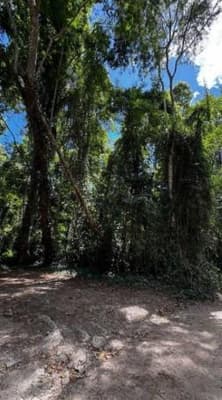 Foto 5 de 9: Terreno em leilão em Ilhabela - SP, bairro Barra Velha — id 778 - Direitos Possessórios - Terreno - Ilhabela/SP