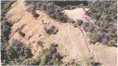 Foto 3 de 5: Terreno em leilão em Prudentópolis - PR — Área Rural com 47,36 Hectares Linha Herval Prudentópolis/PR