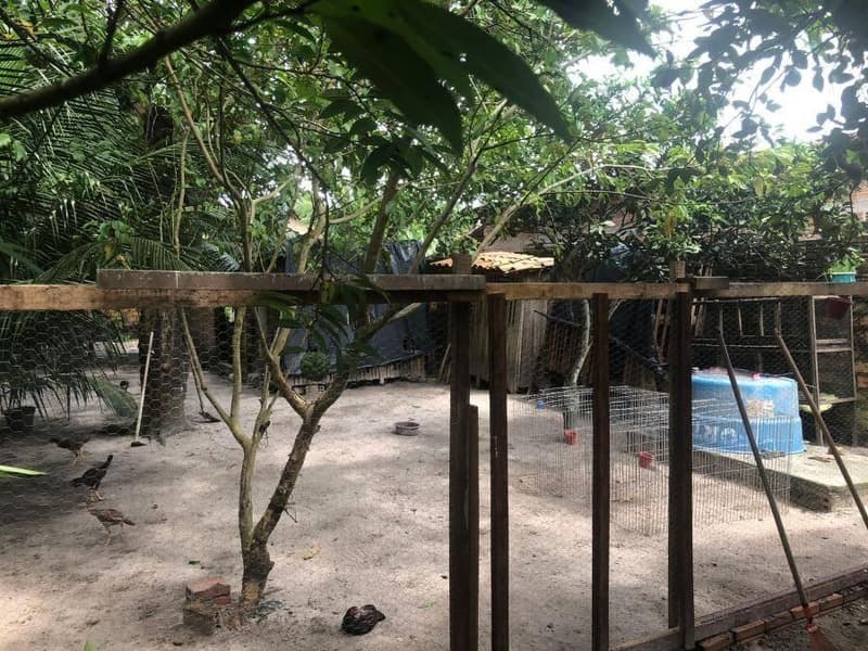 Foto 6 de 7: Casa em leilão em Maracaçumé - MA, bairro Boa Vista — Casa, Maracaçumé / MA