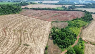 Foto 8 de 10: Area Rural em leilão em Nova Prata Do Iguaçu - PR — IMÓVEL RURAL COM ÁREA DE 121.000 m2- Em NOVA PRATA DO IGUAÇU
