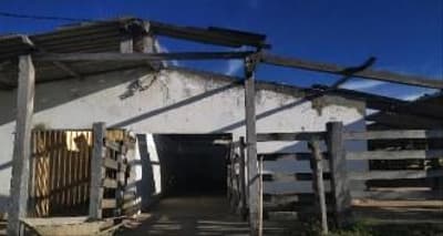 Foto 4 de 10: Area Rural em leilão em Barreiras - BA — IMÓVEL RURAL COM 12,57HA EM BARREIRAS - BA
