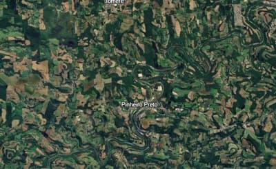 Area Rural em leilão em Pinheiro Preto - SC — IMÓVEL RURAL COM ÁREA DE 48.400 m², EM PINHEIRO PRETO/SC