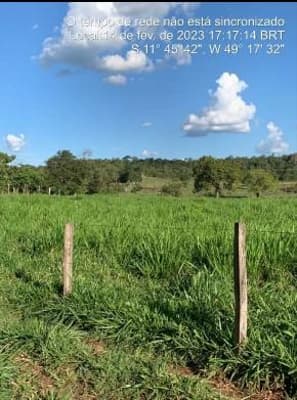 Foto 3 de 9: Area Rural em leilão em Cariri Do Tocantins - TO — IMÓVEL RURAL | A.T. 79,79 HA ATIVIDADE PECUÁRIA | CARIRI DO TOCANTINS/TO
