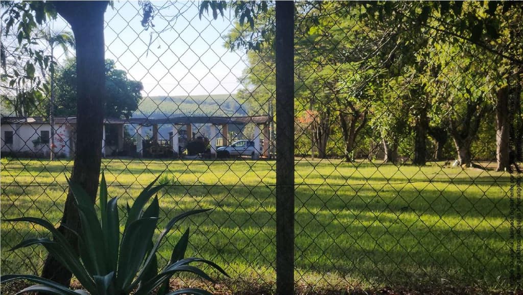 Foto 8 de 16: Area Rural em leilão em Anhembi - SP — Sitio Água Clara (28,5714%), A.T. 3 alq, Dist. Pirambóia
