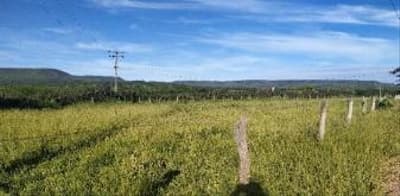 Foto 3 de 10: Area Rural em leilão em Barreiras - BA — IMÓVEL RURAL COM 12,57HA EM BARREIRAS - BA