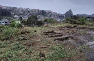 Foto 3 de 10: Terreno em leilão em Santa Cecília - SC — (Parte ideal) Terreno, A.T. 3.266,62m², diferencial, Bairro Rondinha