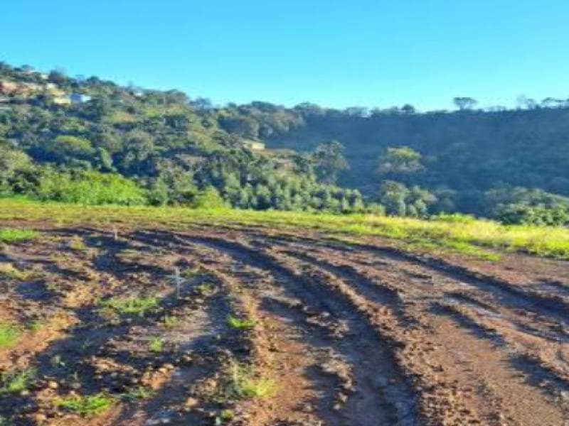 Foto 3 de 9: Terreno em leilão em Cordilheira Alta - SC, bairro Interior — Lote, 330.31 m2, Cordilheira Alta / SC