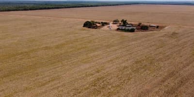 Foto 6 de 9: Area Rural em leilão em Brasnorte - MT — Fazenda Esmeralda 1.020,32 hectares em MT 50% de desconto