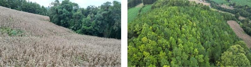 Foto 16 de 16: Area Rural em leilão em Jupiá - SC — Lote Rural 45074m², Linha Pinheiro, Jupiá/SC
