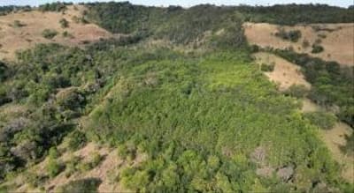 Foto 9 de 11: Area Rural em leilão em Quedas Do Iguaçu - PR, bairro Jardim Alegre — IMÓVEL RURAL COM ÁREA TOTAL DE 11,0255 hectares, EM QUEDAS DO IGUAÇU-PR