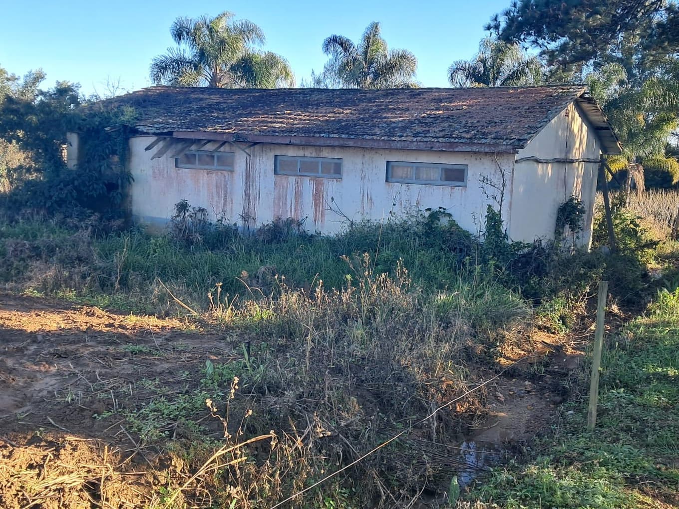 Foto 5 de 9: Terreno em leilão em Imbuia - SC — TERRENO RURAL COM ÁREA DE 974,40M² LOCALIZADO EM IMBUIA/SC
