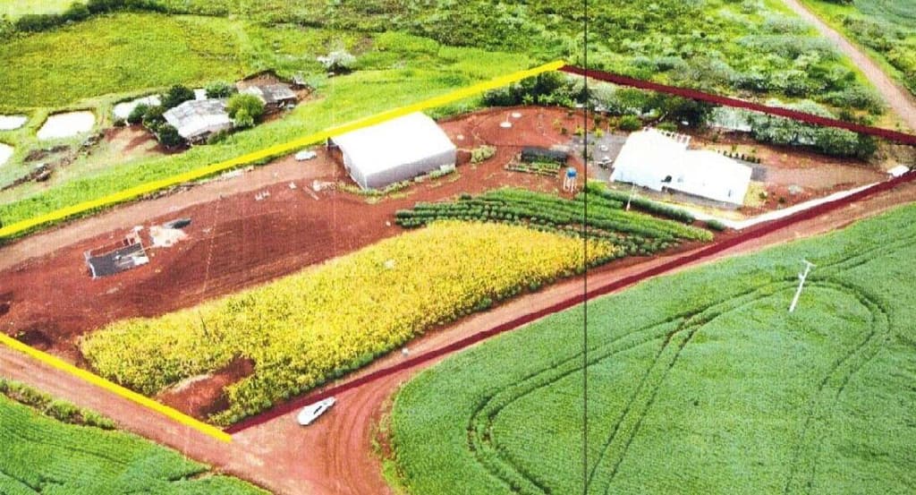 Area Rural em leilão em Arapuã - PR — IMÓVEL RURAL | 1,2 HA COM BENFEITORIAS 12.100 m²| ARAPUÃ - PR