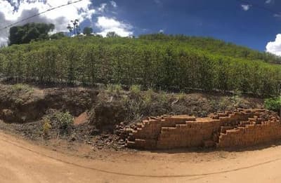 Foto 11 de 14: Area Rural em leilão em Caconde - SP — Sítio, A.T. 9,9500ha