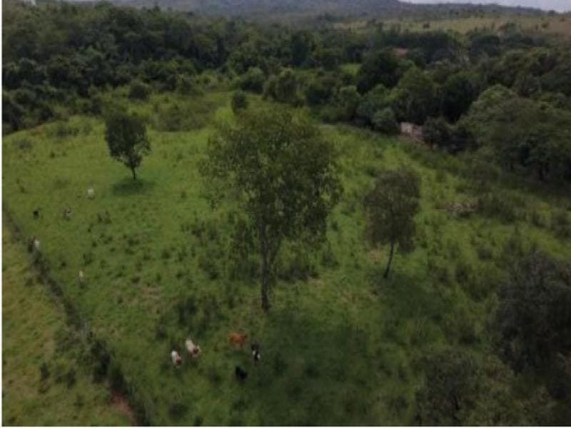 Foto 7 de 8: Area Rural em leilão em Brasília - DF — Area, 2.02 ha, Brasilia / DF