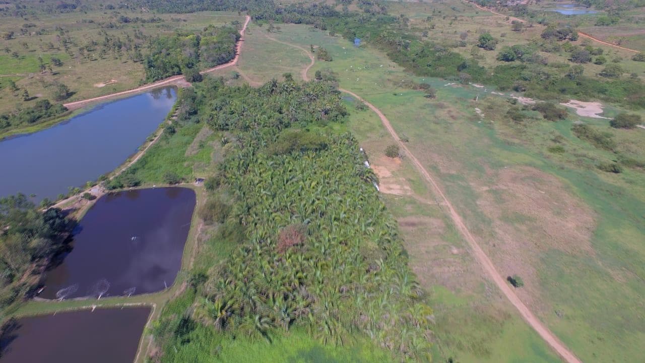 Foto 4 de 8: Terreno em leilão em Xinguara - PA, bairro Gavea Sul — Terreno de 81.373m², à margem esquerda da Br-155, Km 2,5, sentido Xinguara/Rio Maria, Xinguara-PA - Gavea Sul