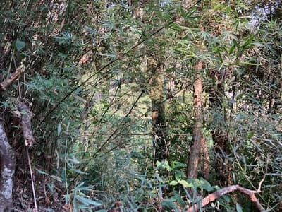 Terreno em leilão em Embu Das Artes - SP — Terreno de 1095.0m2, em EMBU DAS ARTES/SP.
