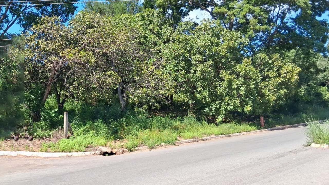 Foto 4 de 7: Terreno em leilão em Minaçu - GO, bairro Vila Residencial de Minaçu — Terreno Urbano 445m² | Vila Residencial de Minaçu - Minaçu/GO | Localização Nobre e Infraestrutura Completa: Ideal para Construção e Investimento!