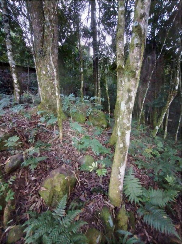 Foto 3 de 8: Terreno em leilão em Porto União - SC — Terreno com aproximadamente 8.259,10m².