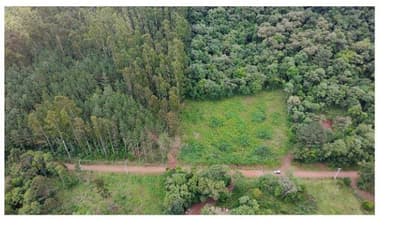Foto 2 de 8: Area Rural em leilão em Francisco Beltrão - PR — Terreno rural com área de 30.000,00m², Localizado na Linha Água Vermelha, Zona Rural do Município de Francisco Beltrão-PR. Sem benfeitorias.