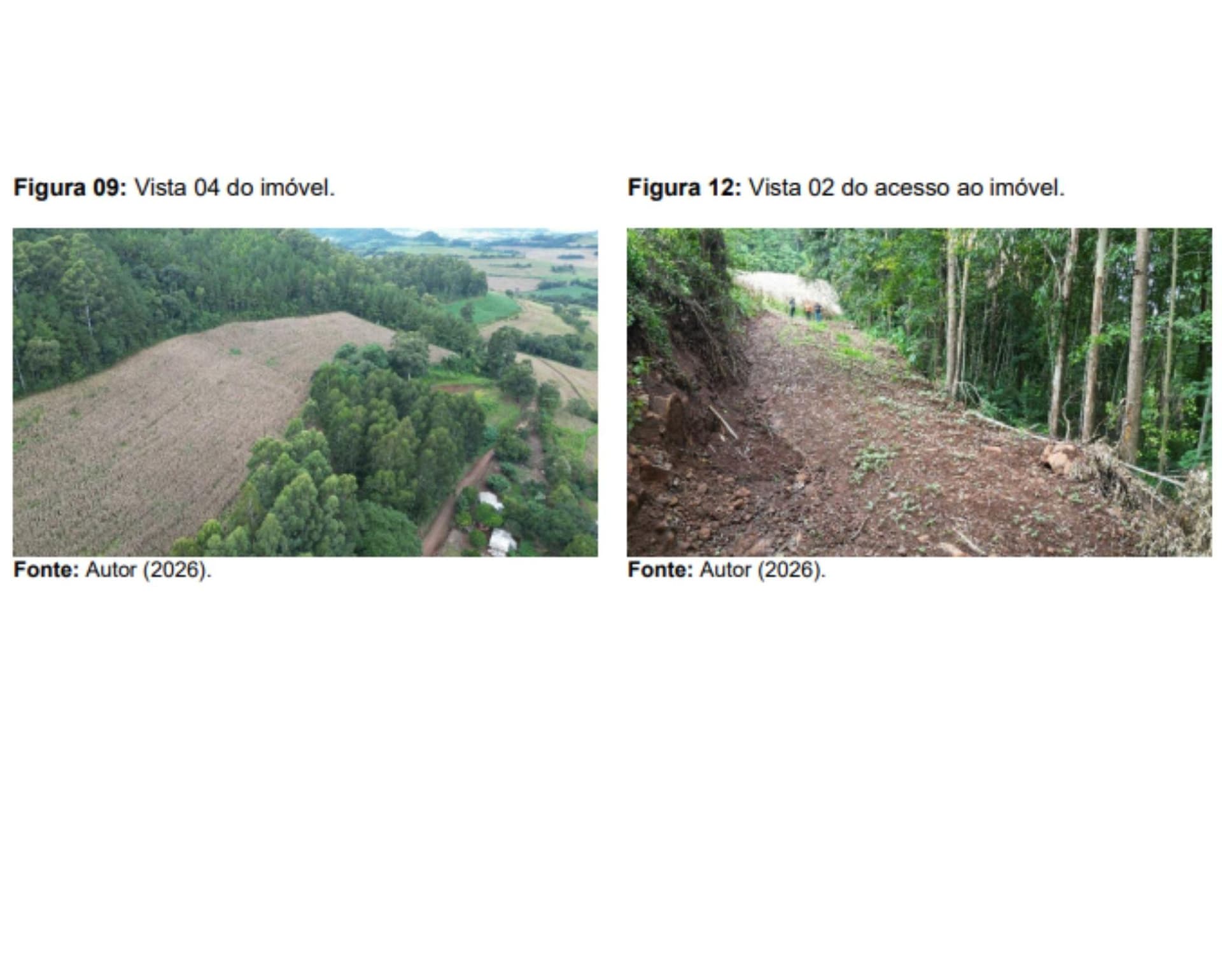 Foto 4 de 16: Area Rural em leilão em Jupiá - SC — Lote Rural 45074m², Linha Pinheiro, Jupiá/SC