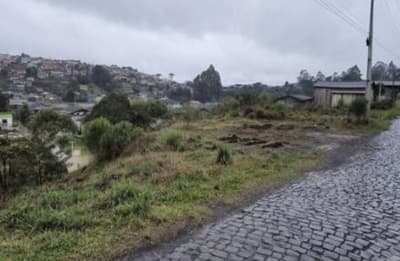 Foto 4 de 10: Terreno em leilão em Santa Cecília - SC — (Parte ideal) Terreno, A.T. 8.636,00m², diferencial, Bairro Fazenda Ouveiro