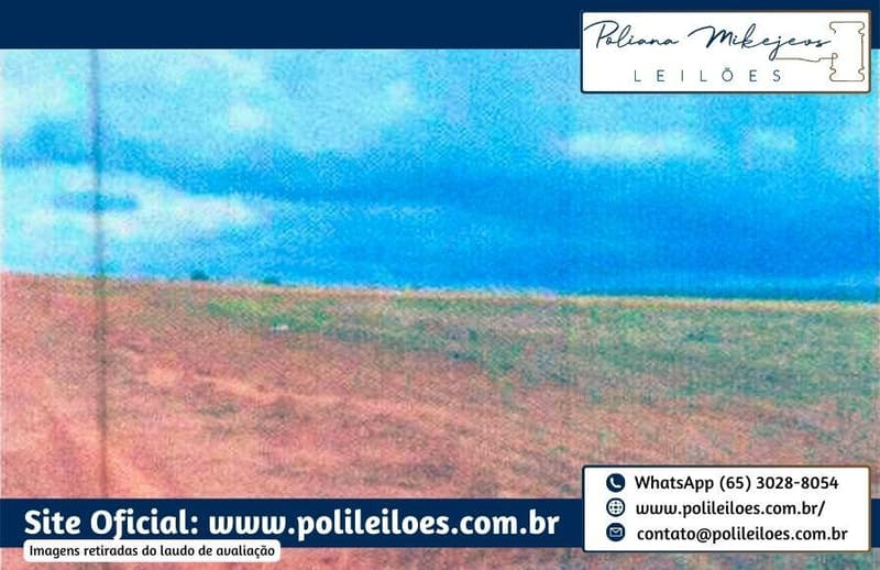 Area Rural em leilão em Brasnorte - MT — Imóvel Rural, AT 48,40ha, em Brasnorte/MT