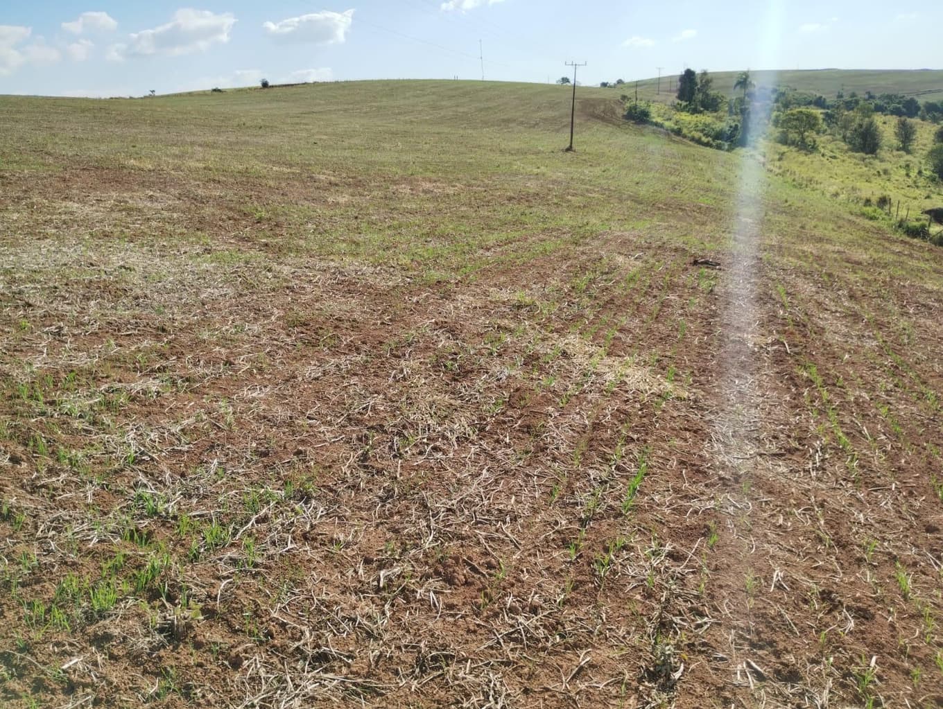 Foto 23 de 24: Area Rural em leilão em São Jerônimo Da Serra - PR — Área rural com área de 35,53 hectares - São Jerônimo da Serra/PR.