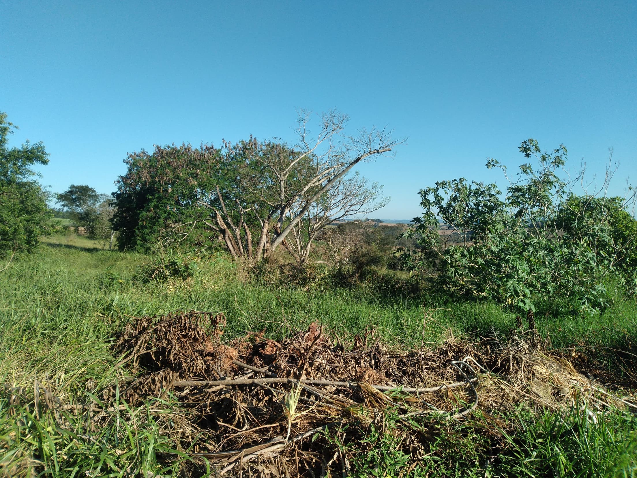 Foto 18 de 41: Area Rural em leilão em Capitão Leônidas Marques - PR — Gleba Urbana Desocupada 27.837m2 no Bairro São Gabriel em Capitão Leonidas Marques/PR