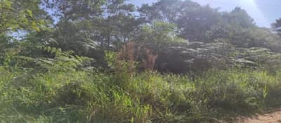 Terreno em leilão em Cotia - SP, bairro Projeto Jardim — Terreno Urbano Com A.T. 1.367,01 M² em Cotia/SP