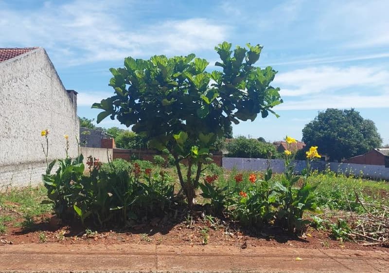 Terreno em leilão em Marechal Cândido Rondon - PR — Terreno 408m², Loteamento Augusto I, Marechal Cândido Rondon/PR