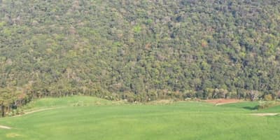 Foto 5 de 5: Area Rural em leilão em Dionísio Cerqueira - SC — IMÓVEL RURAL COM ÁREA DE 30.0443 ha- Em DIONISIO CERQUEIRA/SC