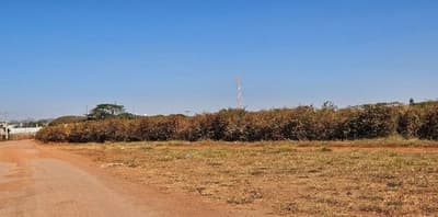 Foto 6 de 6: Area Rural em leilão em Serra Do Salitre - MG — Imóvel Rural 05,99,39 ha na Fazenda Santa Maria, Serra do Salitre/MG
