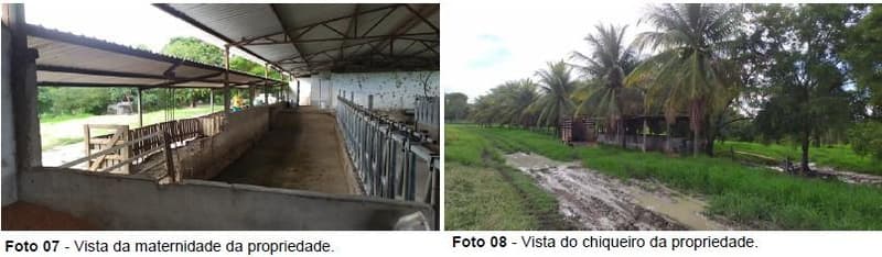 Foto 10 de 10: Area Rural em leilão em Luís Eduardo Magalhães - BA — IMÓVEL RURAL | 25,00 HA - CHÁCARA SÃO JOÃO | LUIS EDUARDO MAGALHÃES/BA