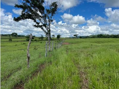 Foto 9 de 10: Area Rural em leilão em Alta Floresta D'oeste - RO — IMÓVEL RURAL | A.T. 49,79 HA | ALTA FLORESTA DOESTE/RO