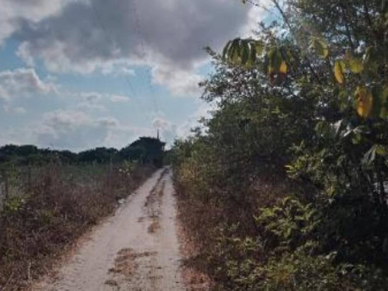 Foto 1 de 5: Terreno em leilão em Pacajus - CE, bairro Curimatã — Lote, Pacajus / CE