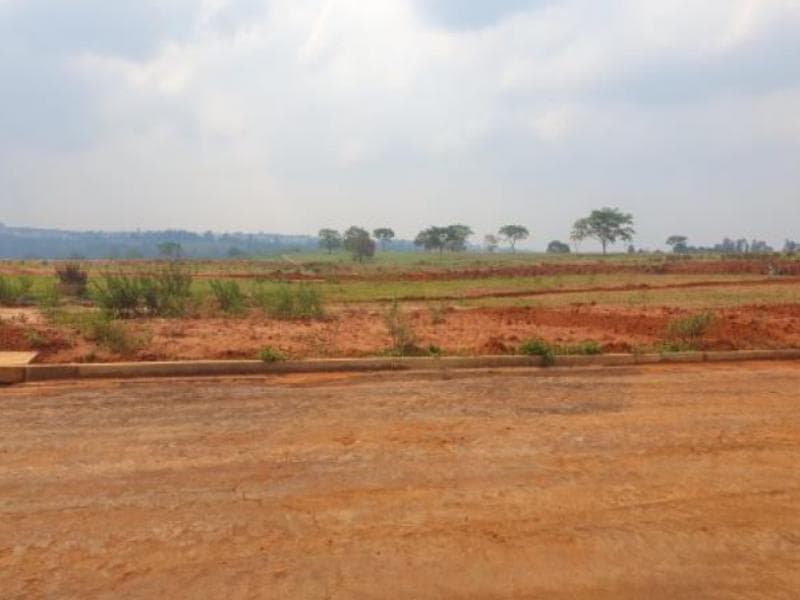 Foto 6 de 8: Terreno em leilão em Marília - SP, bairro Jardim Botânico I — Lote, 250.0 m2, Marília / SP
