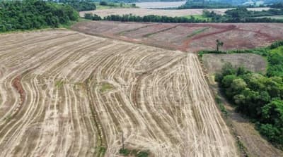 Foto 7 de 10: Area Rural em leilão em Nova Prata Do Iguaçu - PR — IMÓVEL RURAL COM ÁREA DE 121.000 m2- Em NOVA PRATA DO IGUAÇU