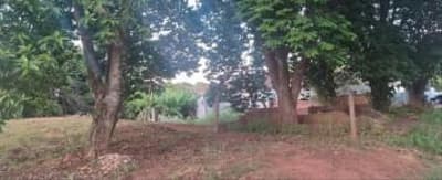 Foto 6 de 6: Terreno em leilão em Pérola - PR, bairro Centro — Terreno sem benfeitorias, com área de 300,00 m², localizado à Rua Bernardino de Campos, n° 1.562, Centro, na Cidade de Pérola/PR