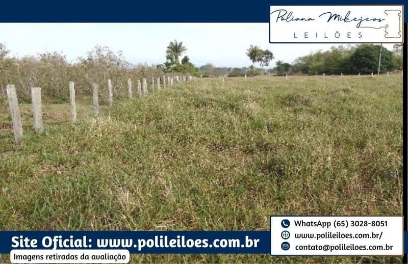 Foto 3 de 4: Area Rural em leilão em Juara - MT — Imóvel rural, AT 96,80has, denominado São José, Santa Isabel, Estrada Água da Abelha, KM 10, Juara/MT